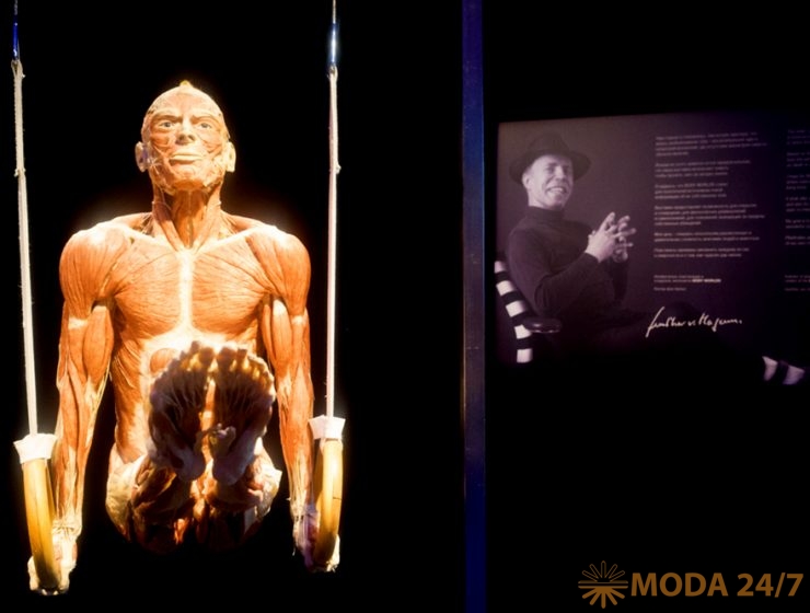 Спортсмен на кольцах. Body Worlds – занимательная анатомия